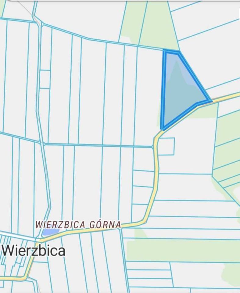 Działka rolno-budowlana Wierzbica. Zdjęcie 1