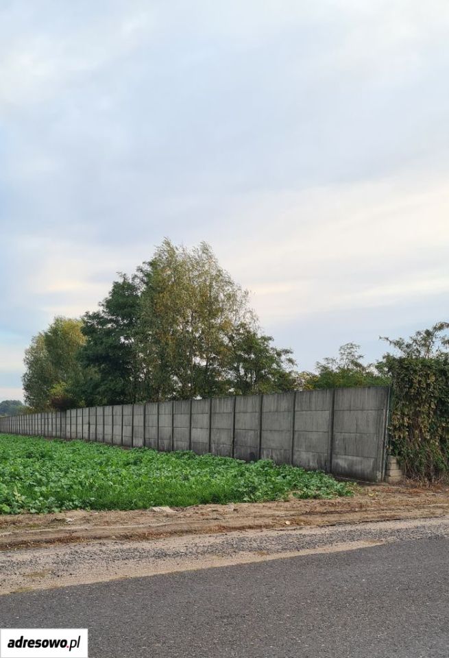 Działka inwestycyjna Grabów. Zdjęcie 6