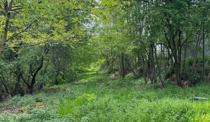 Działka rolna Bachowice, ul. Stefczyka