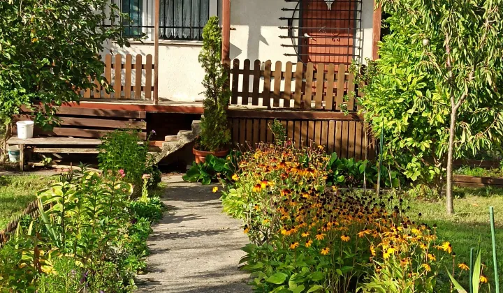 Działka rod Gliwice Sikornik, ul. Rybnicka