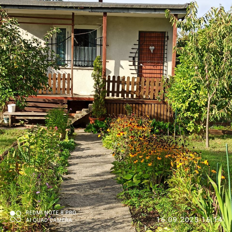 Działka rod Gliwice Sikornik, ul. Rybnicka. Zdjęcie 2