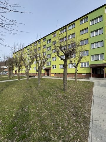 Mieszkanie 2-pokojowe Stronie Śląskie, ul. Nadbrzeżna. Zdjęcie 9