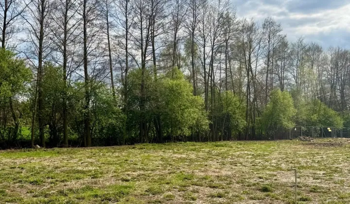 Działka budowlana Babiczki