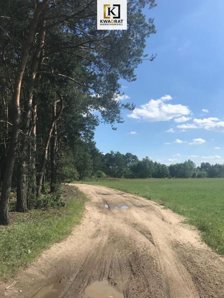 Działka budowlana Borówek. Zdjęcie 7
