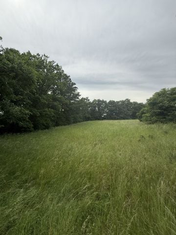 Działka budowlana Pieńsk. Zdjęcie 1