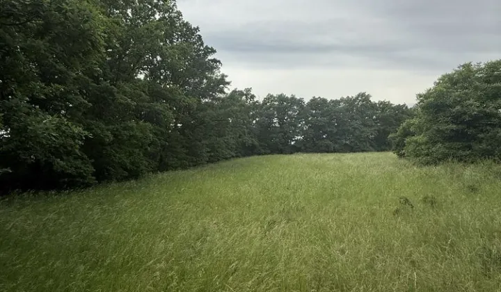 Działka budowlana Pieńsk