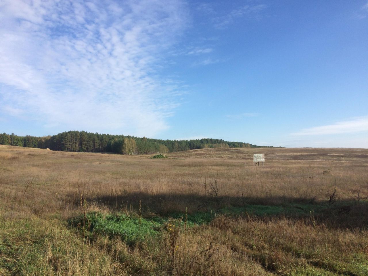 Działka rolno-budowlana Wierzchy. Zdjęcie 2