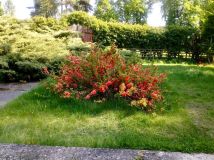 inny, 4 pokoje Giżycko, ul. Kilińskiego. Zdjęcie 2