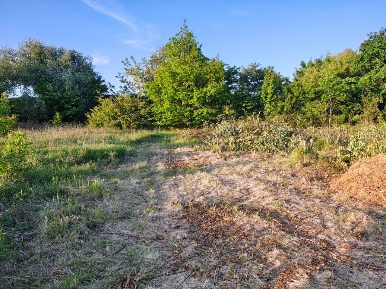 Działka inwestycyjna Wrocław Fabryczna, ul. gen. Witolda Urbanowicza. Zdjęcie 13