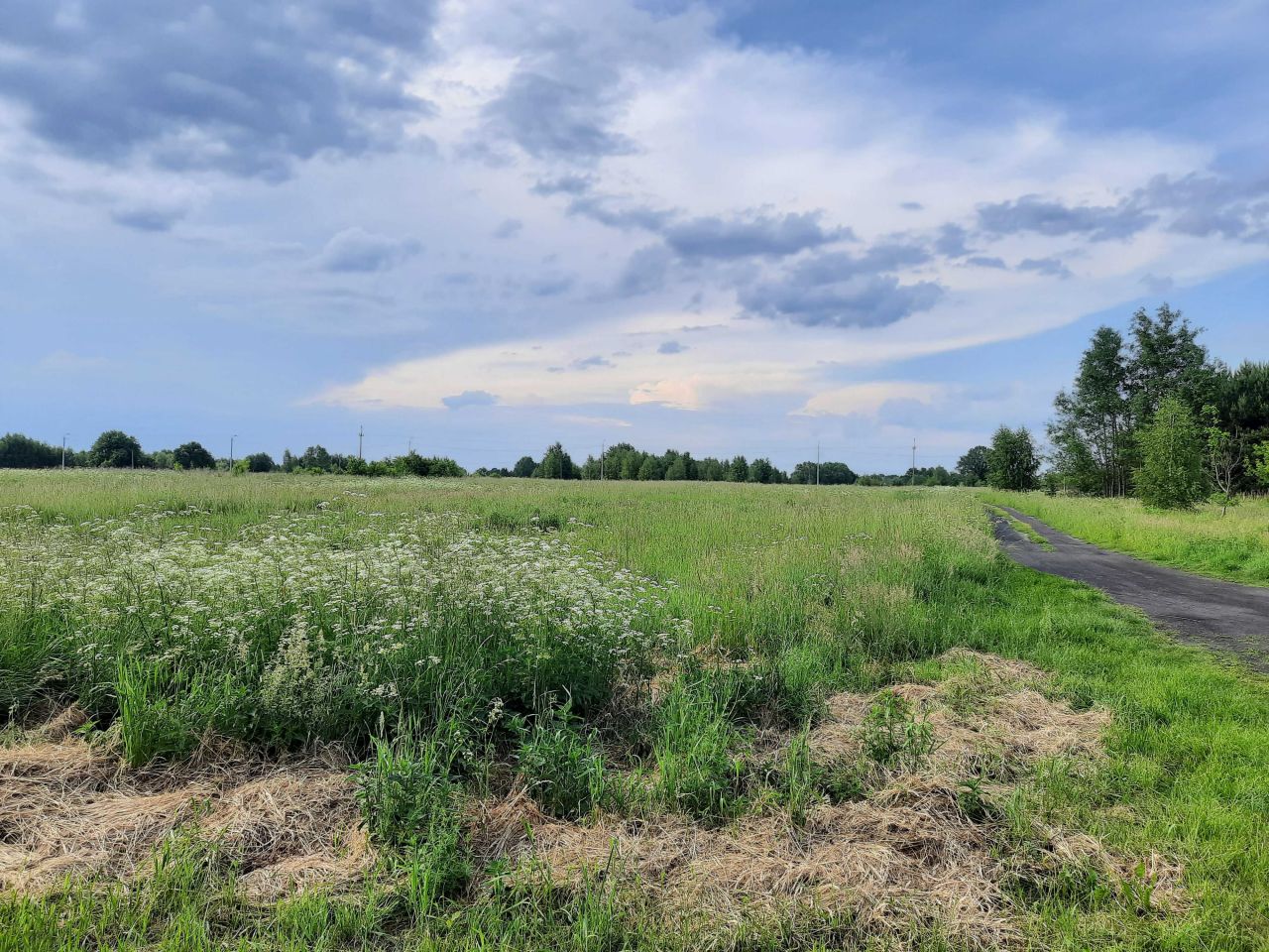 Działka rolno-budowlana Żwirówka. Zdjęcie 3