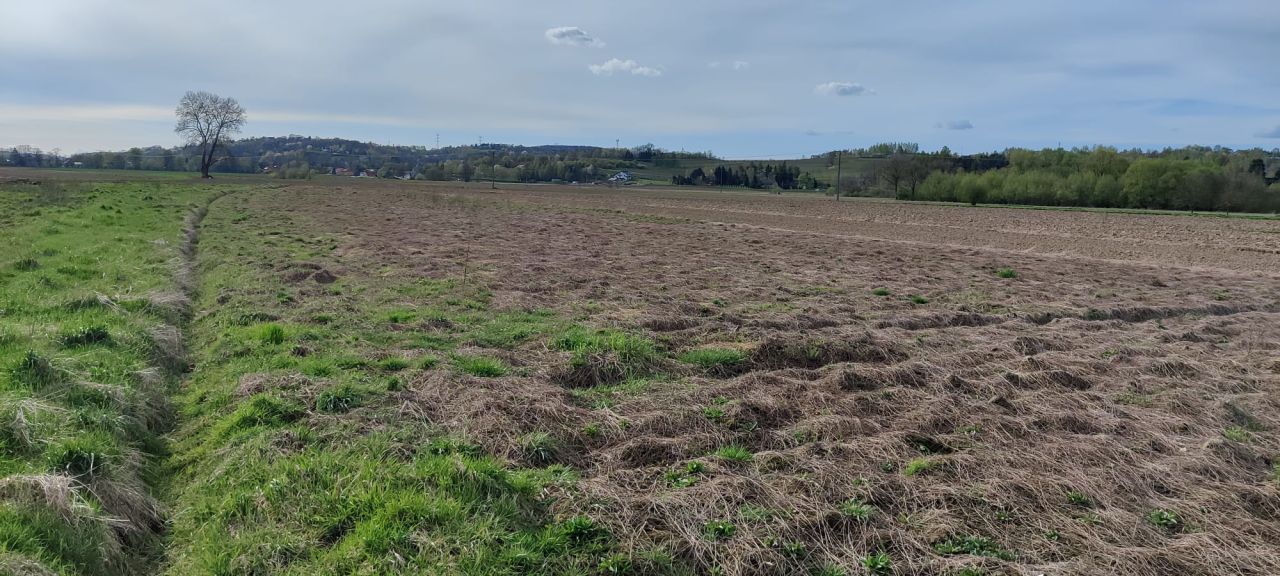 Działka rolno-budowlana Fałkowice. Zdjęcie 3