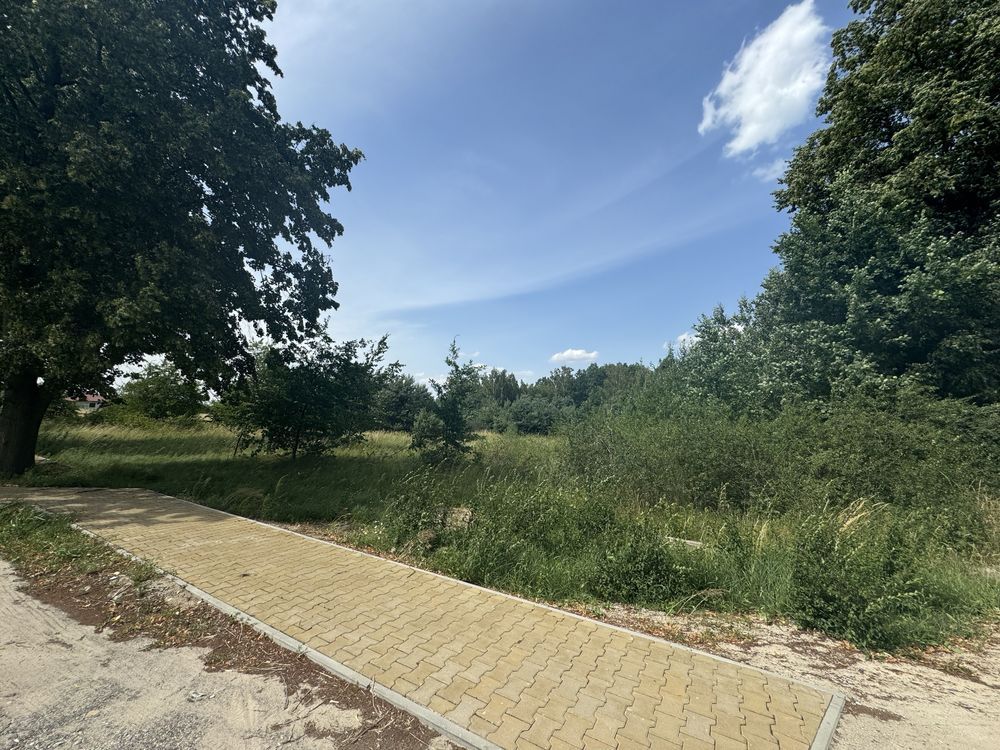 Działka rolno-budowlana Sewerynów. Zdjęcie 6