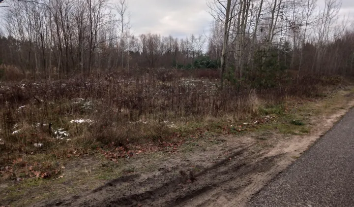 Działka budowlana Sierzchów, ul. Sosnowa