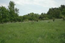 Działka siedliskowa Zalas, ul. Piaskowa. Zdjęcie 2