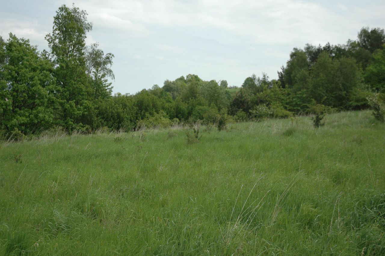 Działka siedliskowa Zalas, ul. Piaskowa. Zdjęcie 3