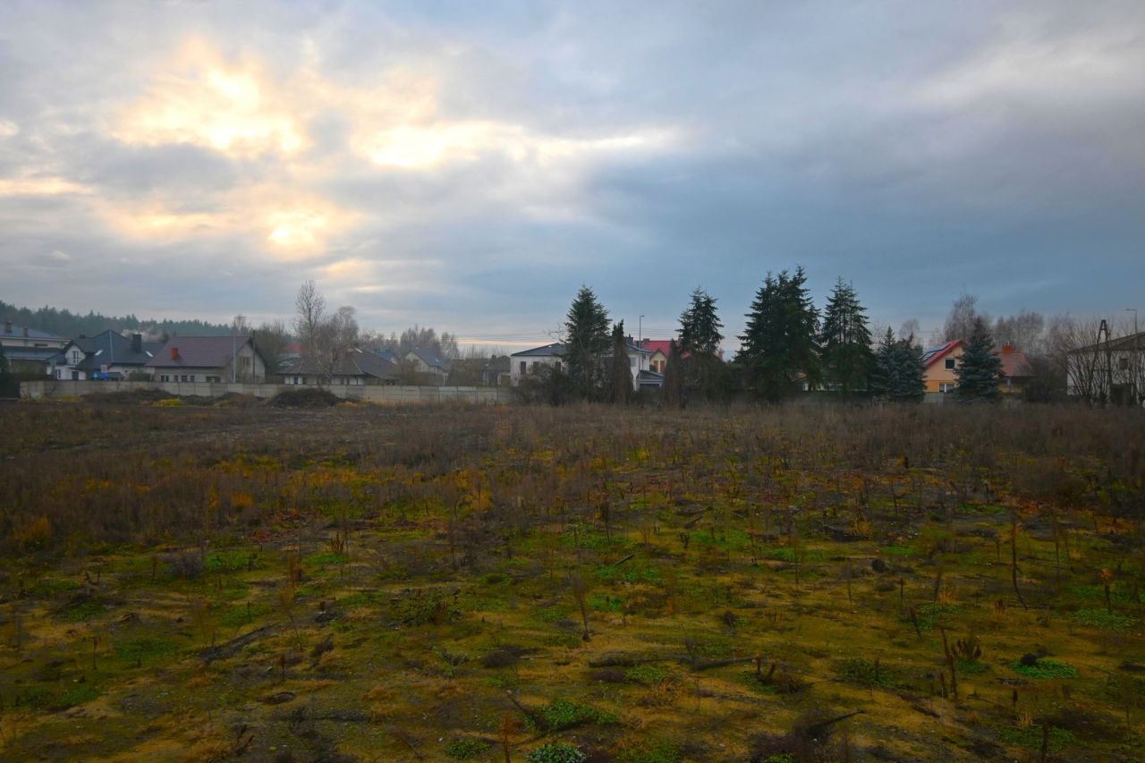 Działka inwestycyjna Tarnowo Podgórne. Zdjęcie 4