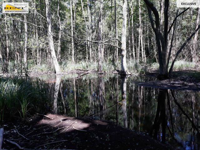 Działka inwestycyjna Chociwel. Zdjęcie 7