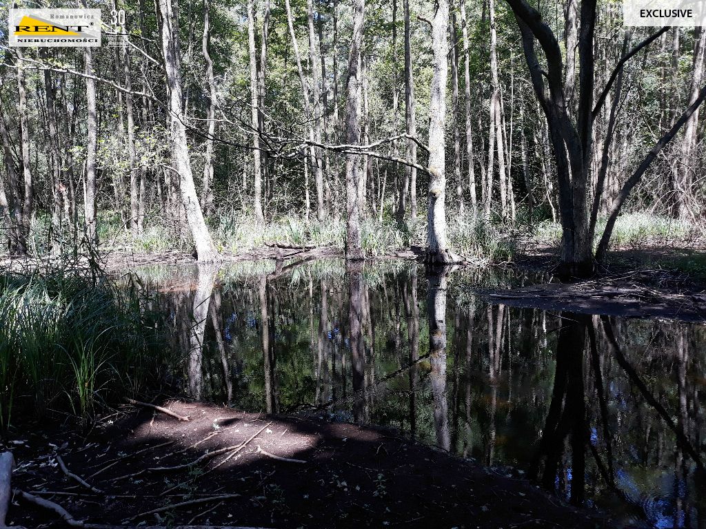 Działka inwestycyjna Chociwel. Zdjęcie 7