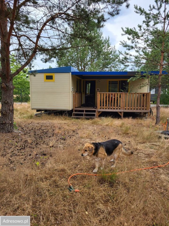 Działka budowlana Adampol, ul. Spacerowa. Zdjęcie 7