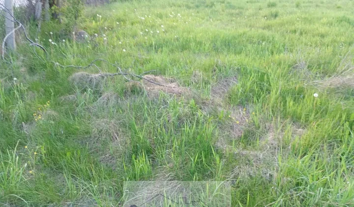 Działka budowlana Ustanów