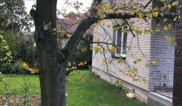 dom wolnostojący, 2 pokoje Bieniewice