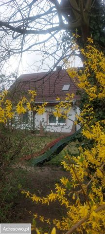 dom wolnostojący, 5 pokoi Bąkowice, ul. Główna. Zdjęcie 9