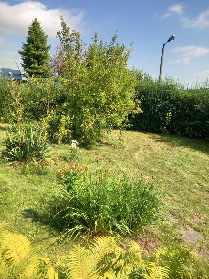 Działka rekreacyjna Bochnia