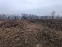 siedlisko Siarzewo. Zdjęcie 2