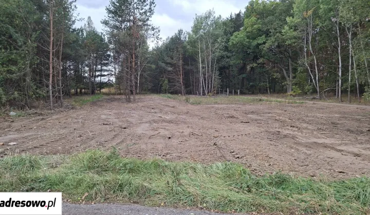 Działka budowlana Zielona Góra Drzonków, ul. Drzonków-Radosna