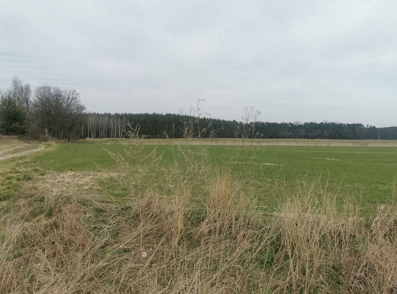 Działka budowlana Kałowice. Zdjęcie 6