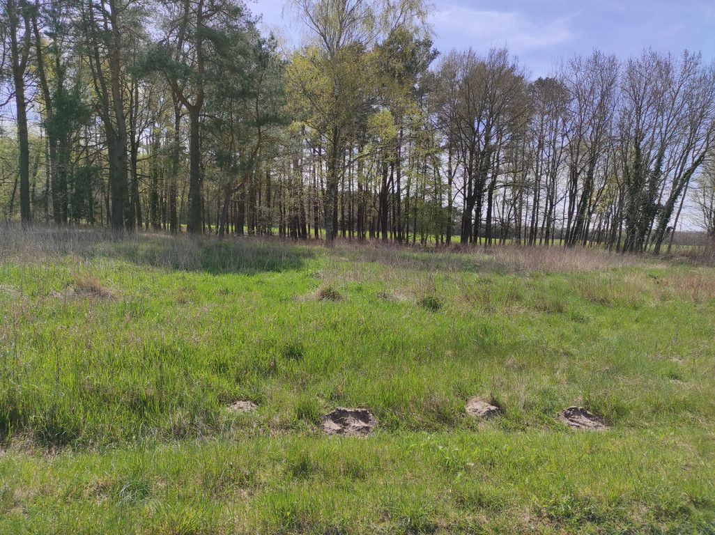 Działka budowlana Chomino. Zdjęcie 9