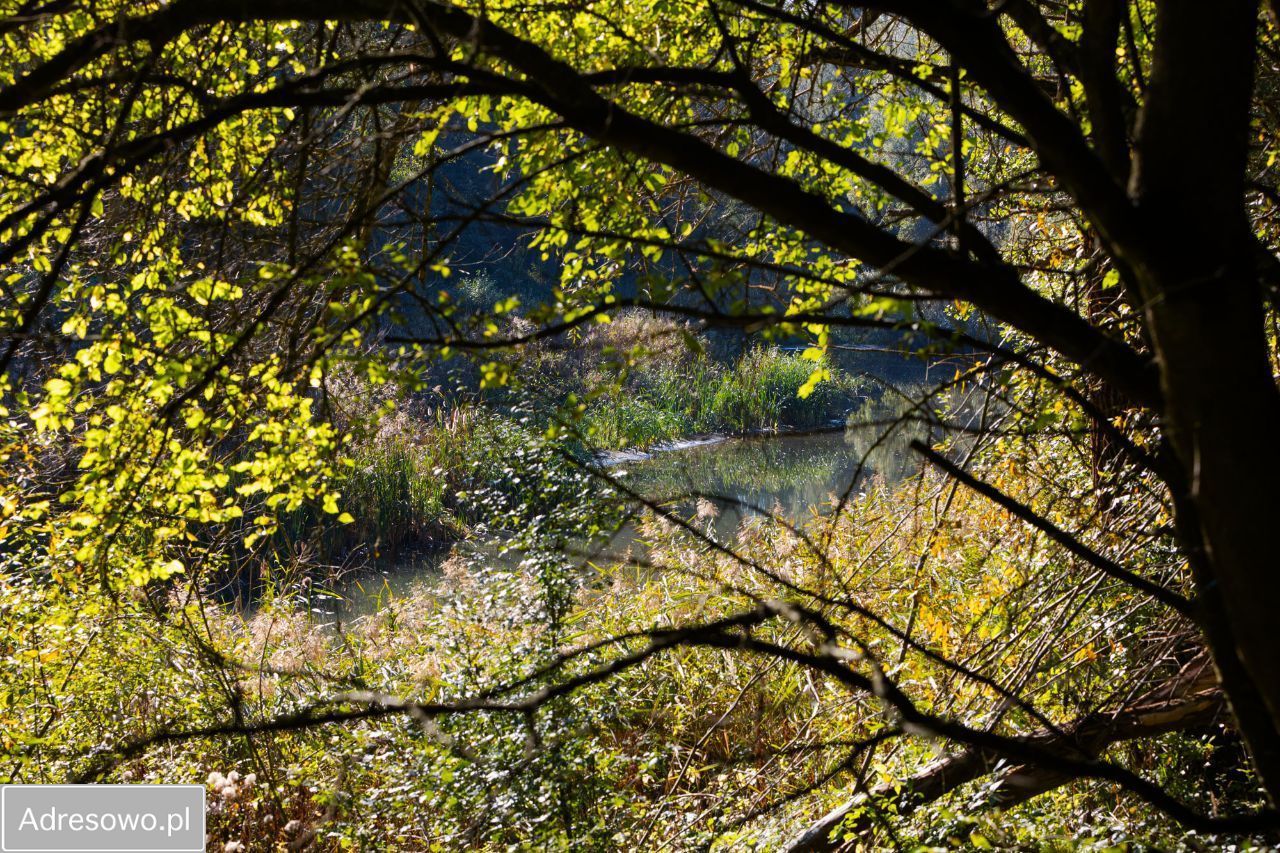Działka budowlana Rosnówko. Zdjęcie 7