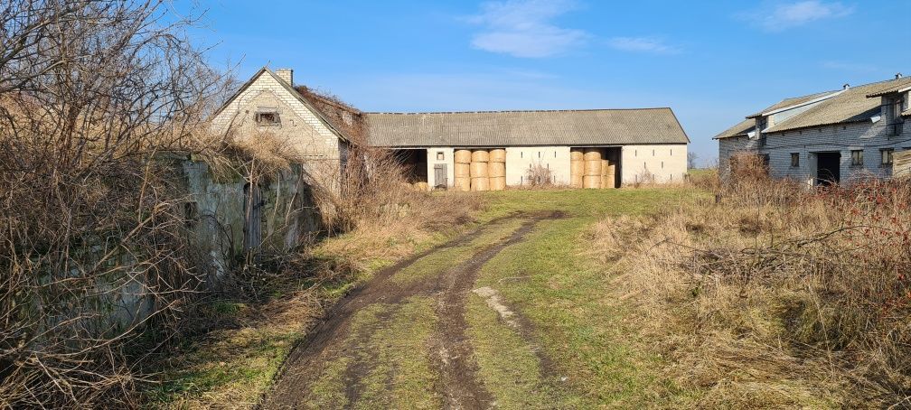 Działka rolno-budowlana Cieciersk. Zdjęcie 3