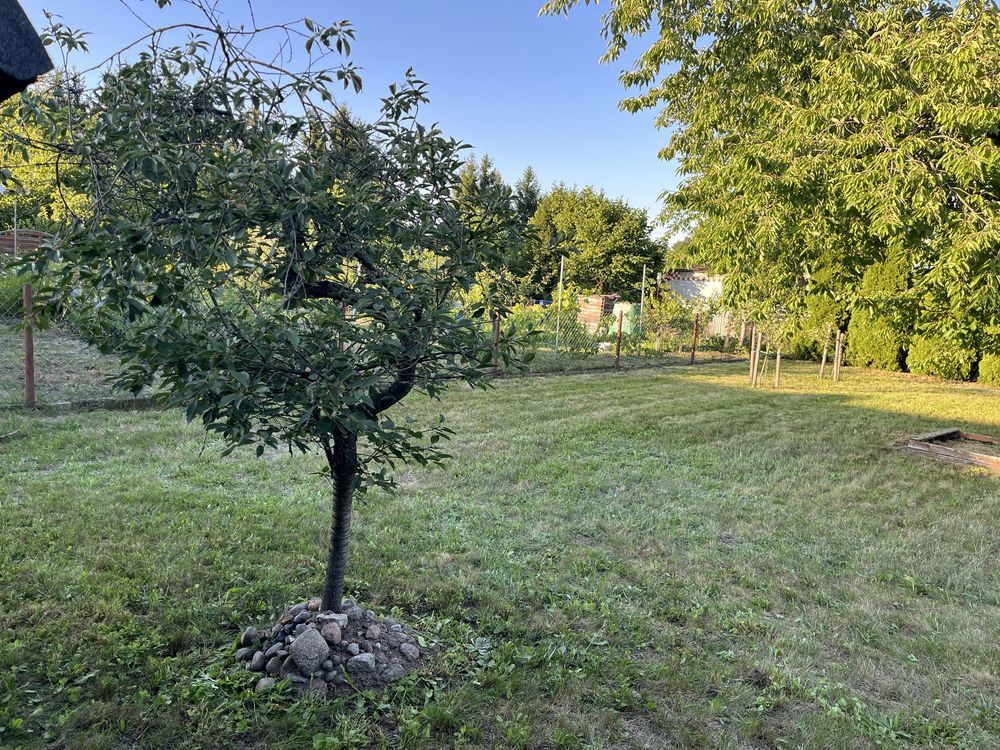 Działka rod Droszków. Zdjęcie 6