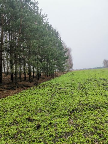 Działka rolno-budowlana Lipnica. Zdjęcie 1