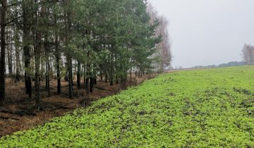 Działka rolno-budowlana Lipnica