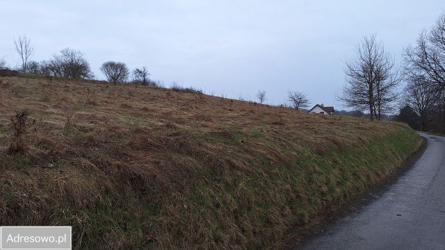 Działka budowlana Przeginia Duchowna, ul. Kresowa. Zdjęcie 1