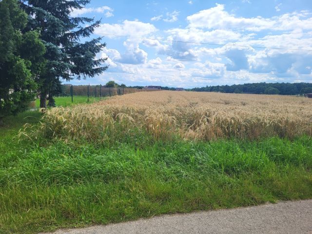 Działka budowlana Pruchna, ul. Kopanina. Zdjęcie 1