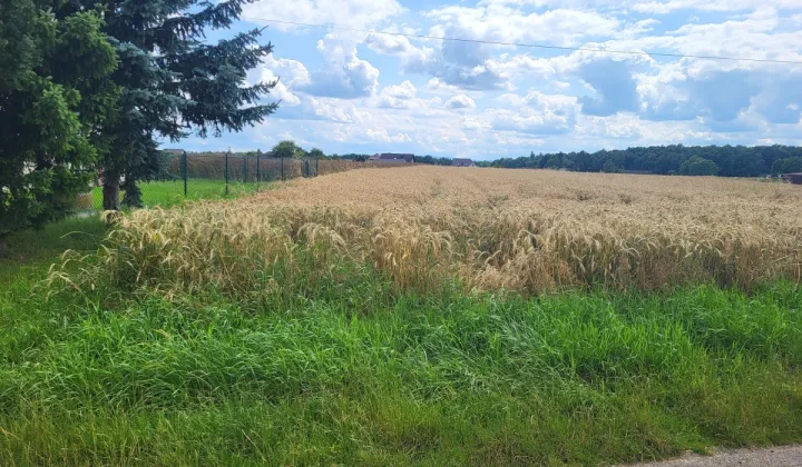 Działka budowlana Pruchna, ul. Kopanina