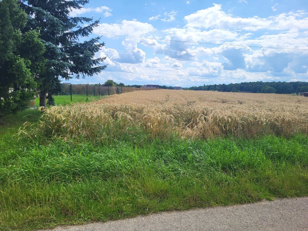 Działka budowlana Pruchna, ul. Kopanina