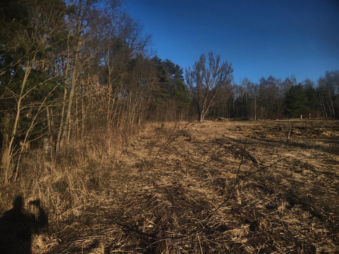 Działka budowlana Dąbrowa Górnicza Sikorka, ul. Gilowa. Zdjęcie 5