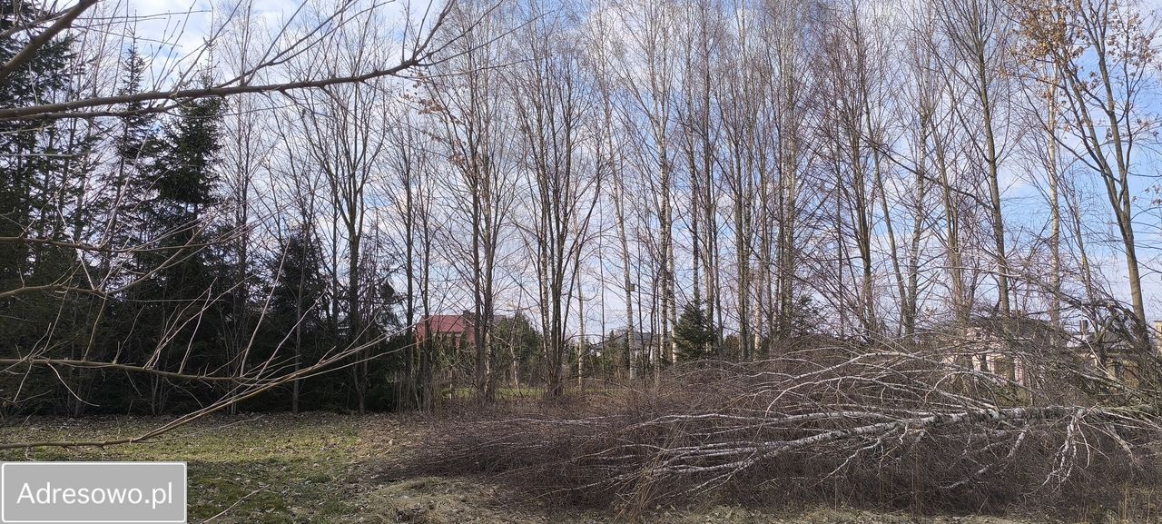 Działka budowlana Terespol, ul. Bolesława Prusa. Zdjęcie 11