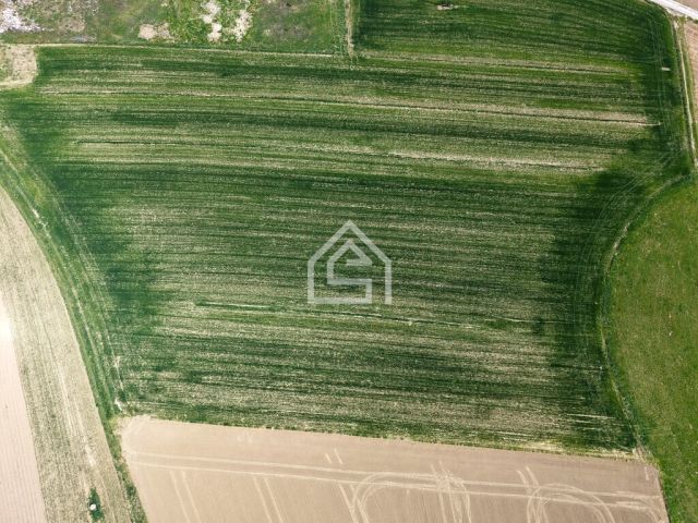 Działka rolna Siedlec. Zdjęcie 3