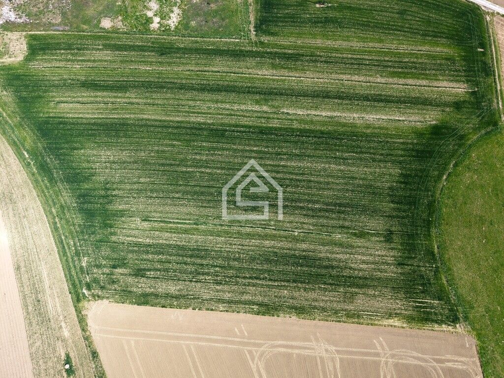 Działka rolna Siedlec. Zdjęcie 3