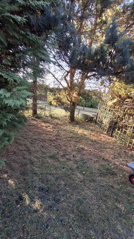 Działka rod Radomsko, ul. Brzeźnicka. Zdjęcie 6