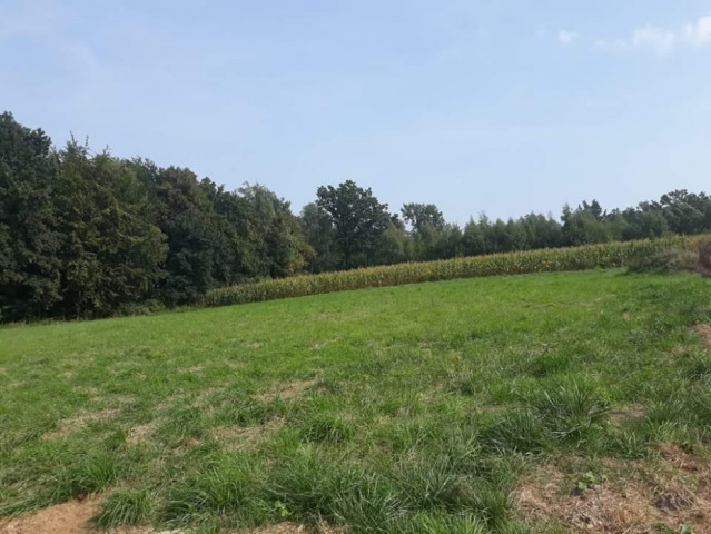Działka rolno-budowlana Masłomiąca. Zdjęcie 1