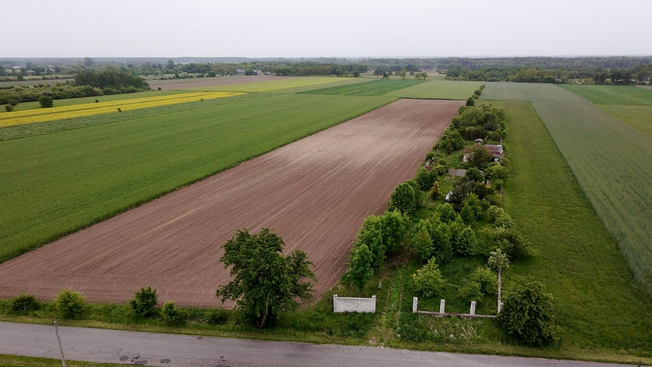 Działka rekreacyjna Zgniłe Błoto Błoto C. Zdjęcie 2