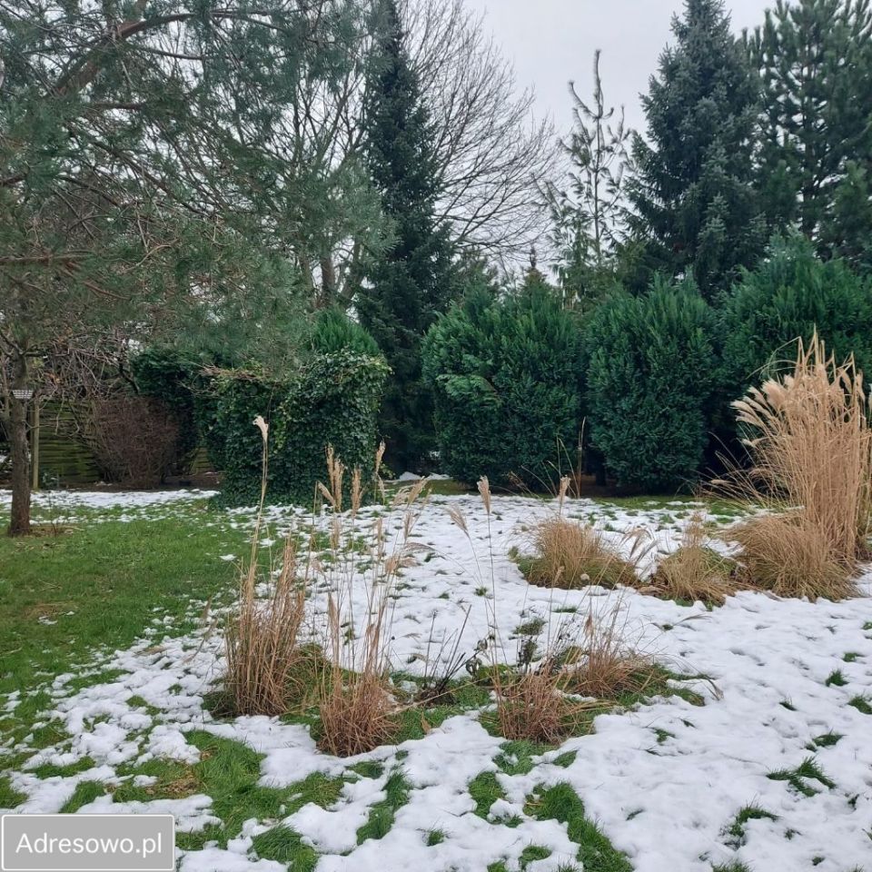 Działka budowlana Gdynia Oksywie, ul. Stanisława Żółkiewskiego. Zdjęcie 16