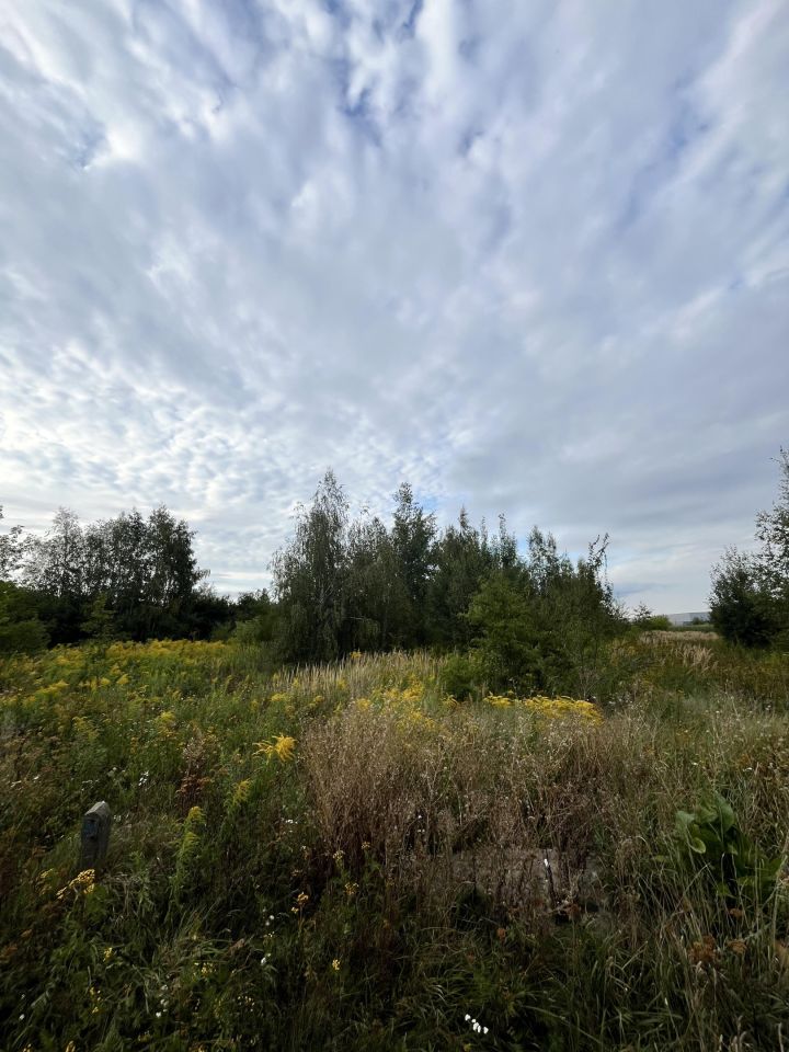 Działka inwestycyjna Piotrków Trybunalski Raków Mały, ul. Tomaszowska. Zdjęcie 6