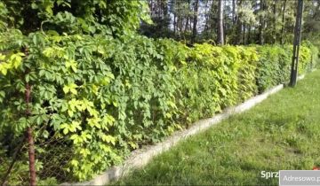 dom wolnostojący, 4 pokoje Zakącie